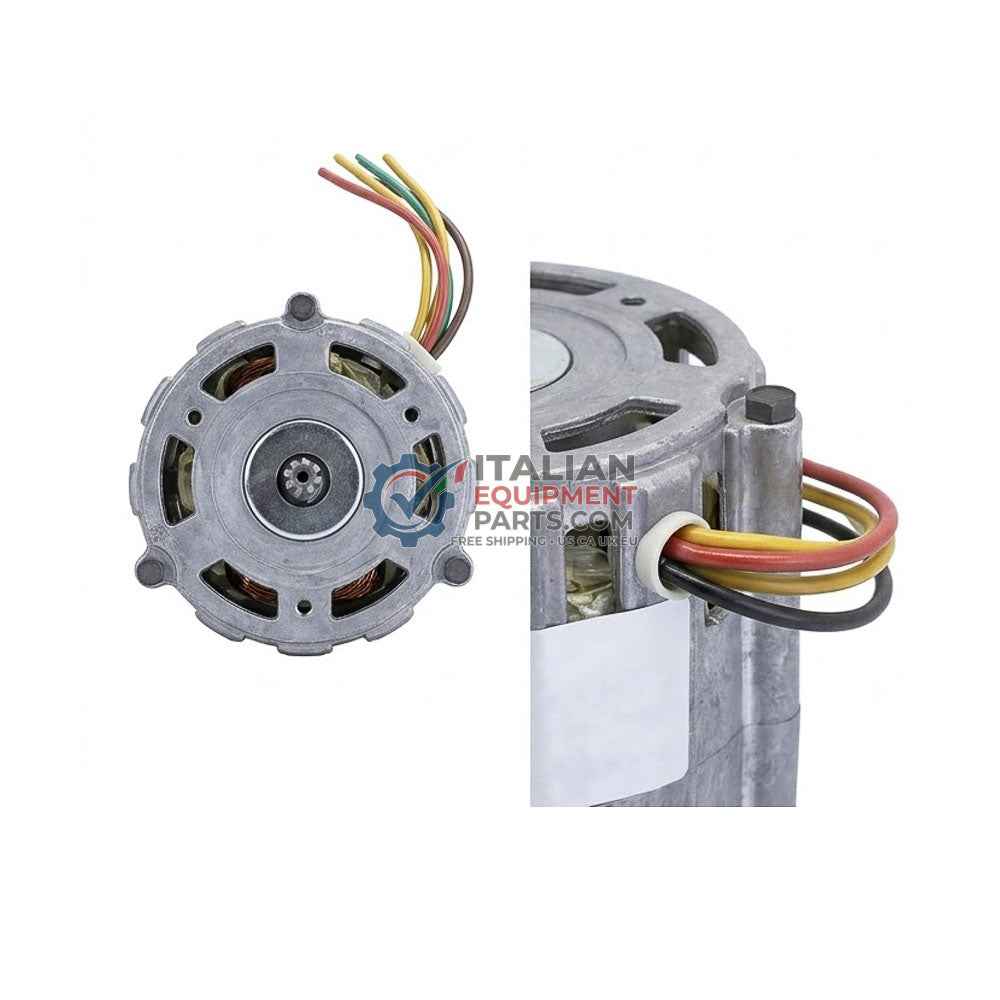 Replacement Motor for Musso Pola Stella - ItalianEquipmentParts.com